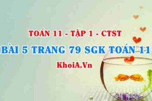 Bài 5 trang 79 SGK Toán 11 Tập 1 Chân trời sáng tạo